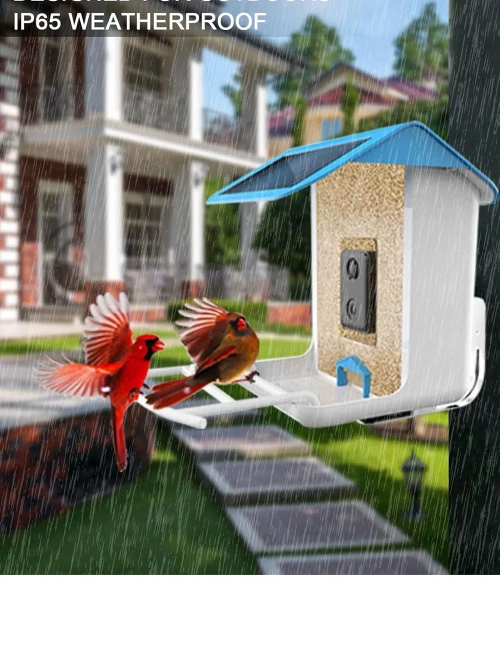 Remote Control Camera Bird Feeder – Blue/White Roof